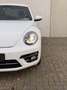 Volkswagen Beetle 1.2 TSI Design 19'' LED/Xenon CarPlay Cruise Weiß - thumbnail 26