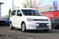 Volkswagen Caddy 2.0 TDI Life  +Cool & Sound+Fahrassistenz+ Blanco - thumbnail 4