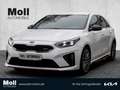 Kia Ceed / cee'd GT 1.6T-GDI Navi Leder digitales Cockpit Memory Si Blanc - thumbnail 1