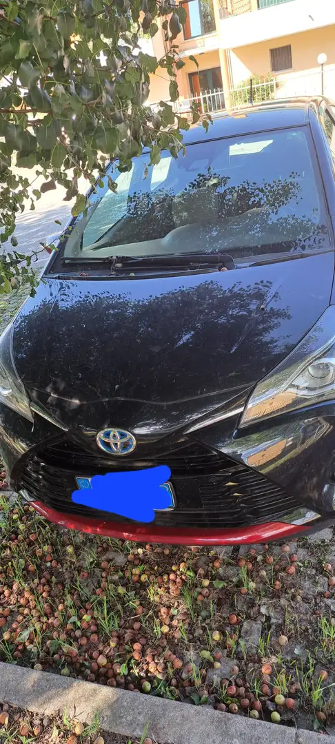 Toyota Yaris Yaris 5p 1.5 ts - 2