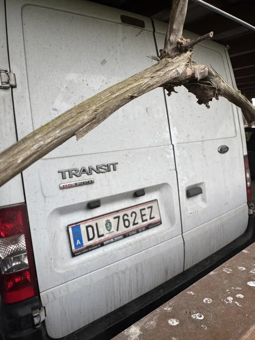 Ford Transit Custom - 1
