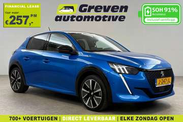 EV GT 350 50 kWh | Snelladen | SOH 91% | Pano | 36