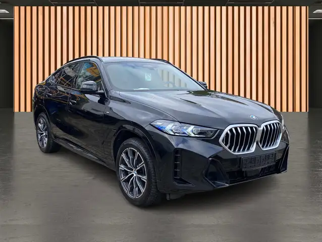 BMW X6 view 18