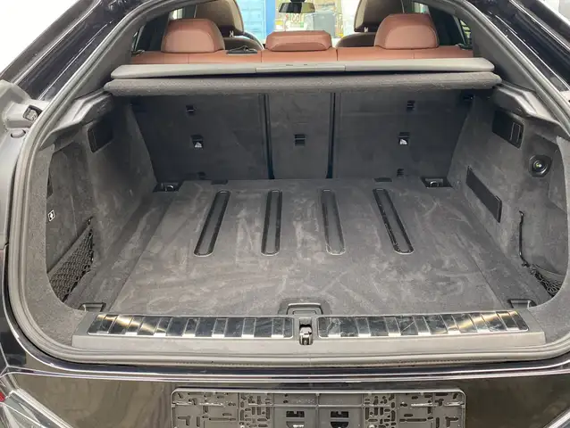 BMW X6 view 10