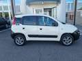 Fiat Panda Panda 1.3 mjt 16v 4x4 AUTOCARRO Blanco - thumbnail 2