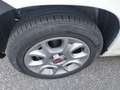 Fiat Panda Panda 1.3 mjt 16v 4x4 AUTOCARRO Blanco - thumbnail 6