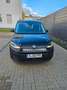 Volkswagen Caddy Cargo PanAmericana Schwarz - thumbnail 4