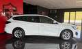 Ford Focus 1.5 EcoBlue 120 CV automatico SW Business Bianco - thumbnail 7