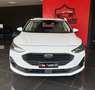 Ford Focus 1.5 EcoBlue 120 CV automatico SW Business Bianco - thumbnail 5