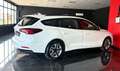 Ford Focus 1.5 EcoBlue 120 CV automatico SW Business Bianco - thumbnail 2