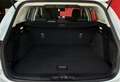 Ford Focus 1.5 EcoBlue 120 CV automatico SW Business Bianco - thumbnail 13