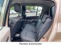 Renault Modus Authentique*KLIMA*HU/AU NEU* Gold - thumbnail 20