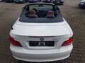 BMW 120 120d Cabrio EDITION EXCLUSIVE LEDER WINDSCHOTT Beyaz - thumbnail 6