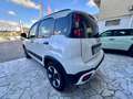 Fiat Panda Panda CROSS 1.0firefly hybrid IVA ESPOSTA GARANZIA Bianco - thumbnail 5