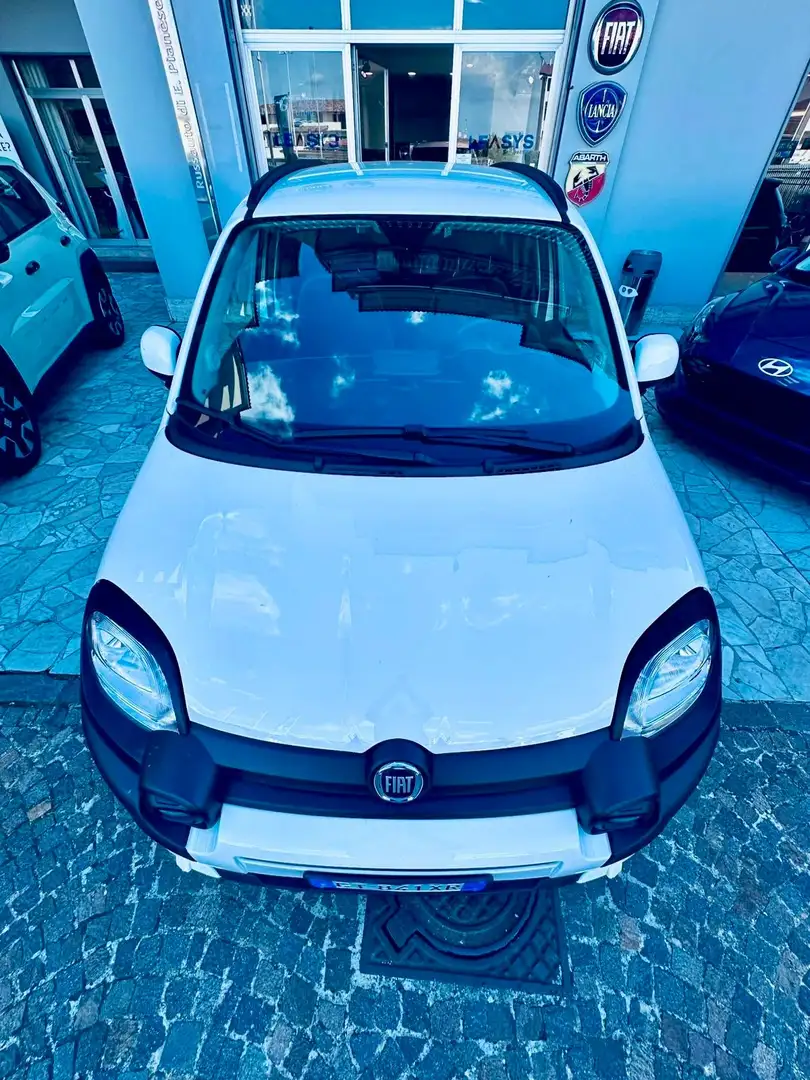 Fiat Panda Panda CROSS 1.0firefly hybrid IVA ESPOSTA GARANZIA Bianco - 2