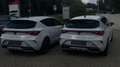CUPRA Leon 2.0 TDI*DSG*KEYL*RKAM*18"*LED*ACC*NAV*IPA* Blanc - thumbnail 5