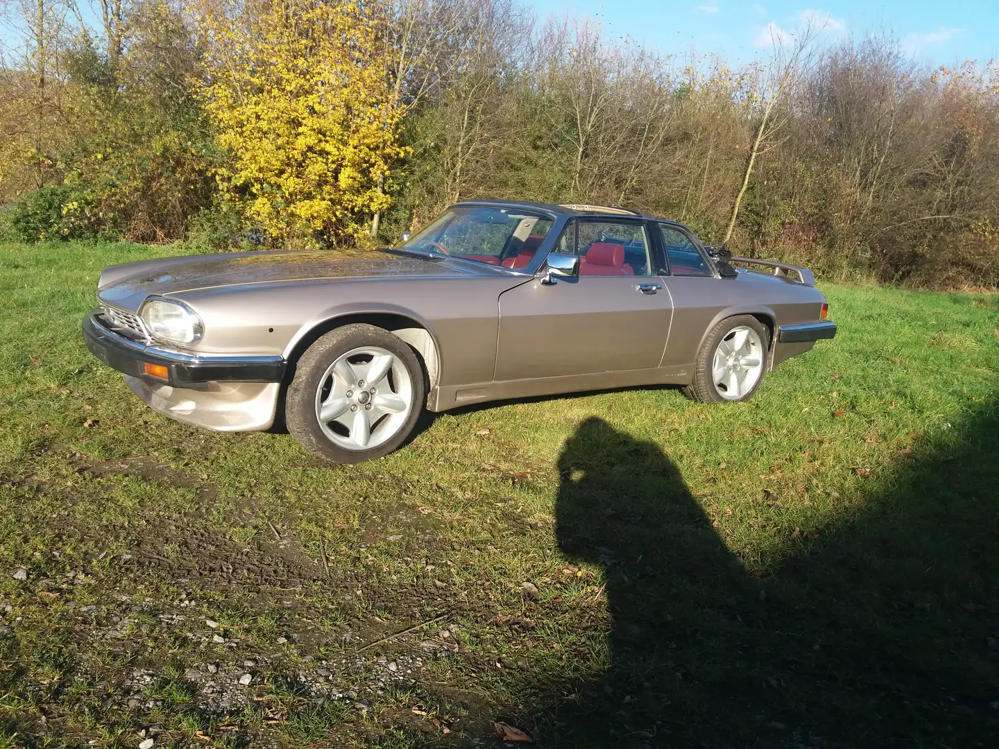 Jaguar XJSC V12  Targa Auriu - 2