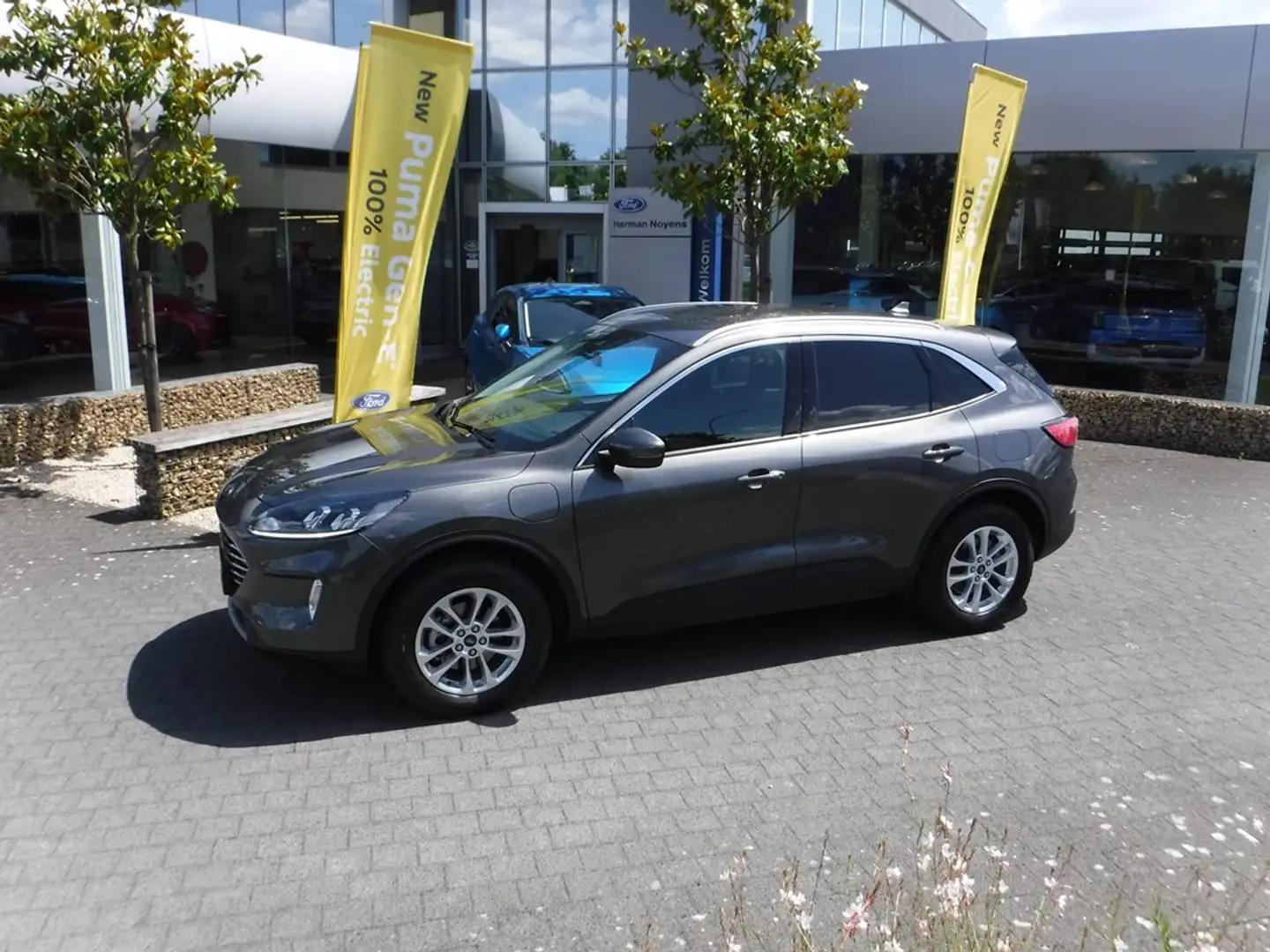 Ford Kuga Gris - 1