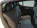 Alfa Romeo Tonale 1.5 160 CV MHEV TCT7 Veloce Bianco - thumbnail 14