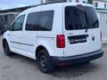 Volkswagen Caddy PKW Trendline BMT *KRAN*ROLLSTUHL*BEHINDER Wit - thumbnail 3