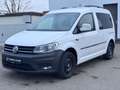 Volkswagen Caddy PKW Trendline BMT *KRAN*ROLLSTUHL*BEHINDER Wit - thumbnail 2