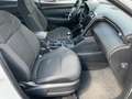 Hyundai TUCSON 1.6 T-GDI Pure AHK*KAM*DAB Blanco - thumbnail 11