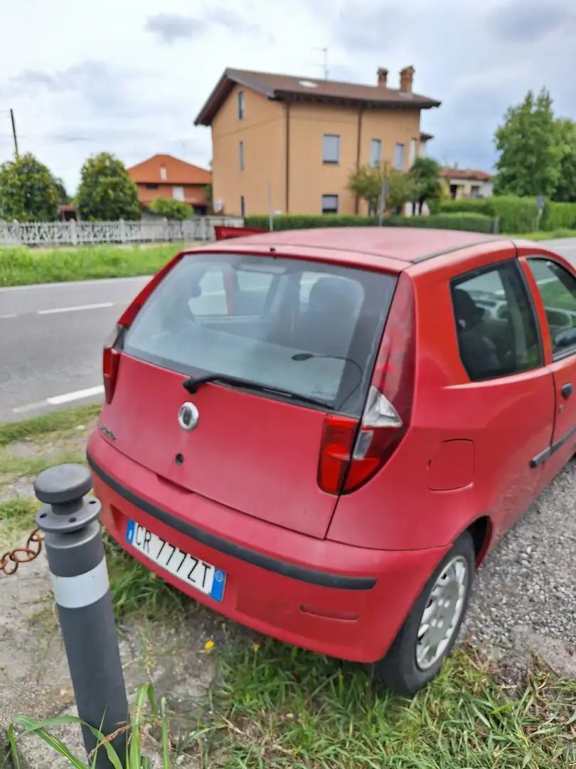 Fiat Punto 3p 1300 multijet - 2