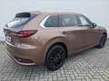 Mazda CX-80 3.3l (254PS) Homura Plus Panodach 7-Sitzer Коричневий - thumbnail 6