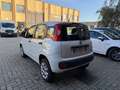 Fiat Panda Panda III  0.9 t.air t. natural power Easy 80cv Blanc - thumbnail 7