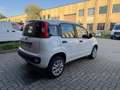 Fiat Panda Panda III  0.9 t.air t. natural power Easy 80cv Bianco - thumbnail 8