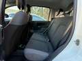 Fiat Panda Panda III  0.9 t.air t. natural power Easy 80cv Bianco - thumbnail 13