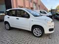 Fiat Panda Panda III  0.9 t.air t. natural power Easy 80cv Blanc - thumbnail 6