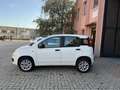 Fiat Panda Panda III  0.9 t.air t. natural power Easy 80cv Bianco - thumbnail 4