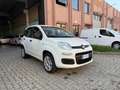 Fiat Panda Panda III  0.9 t.air t. natural power Easy 80cv Blanc - thumbnail 3