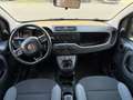 Fiat Panda Panda III  0.9 t.air t. natural power Easy 80cv Bianco - thumbnail 9
