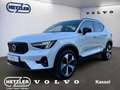 Volvo XC40 Plus Bright 2WD B3 EU6d Digitales Cockpit Memory S Weiß - thumbnail 1