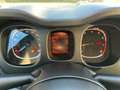 Fiat Panda 4x2 FireFly Hybrid 70 Panda Schwarz - thumbnail 11