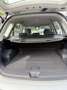 Kia Carens 2.0 crdi 16v vgt EX Class UNICOPROPRIETARIO - thumbnail 12