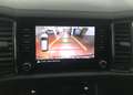 Skoda Kodiaq Kodiaq  2.0 tdi Executive dsg(Sede di Taranto) Gris - thumbnail 22