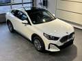 BMW iX2 iX2 xDrive30 Pano_Headup_DrivAssProf_HarmanKardon Weiß - thumbnail 8