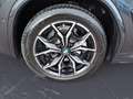BMW X4 xDrive20i M SPORT AHK Parking Assistant Plus Grau - thumbnail 12