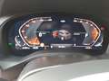 BMW X4 xDrive20i M SPORT AHK Parking Assistant Plus Grau - thumbnail 10