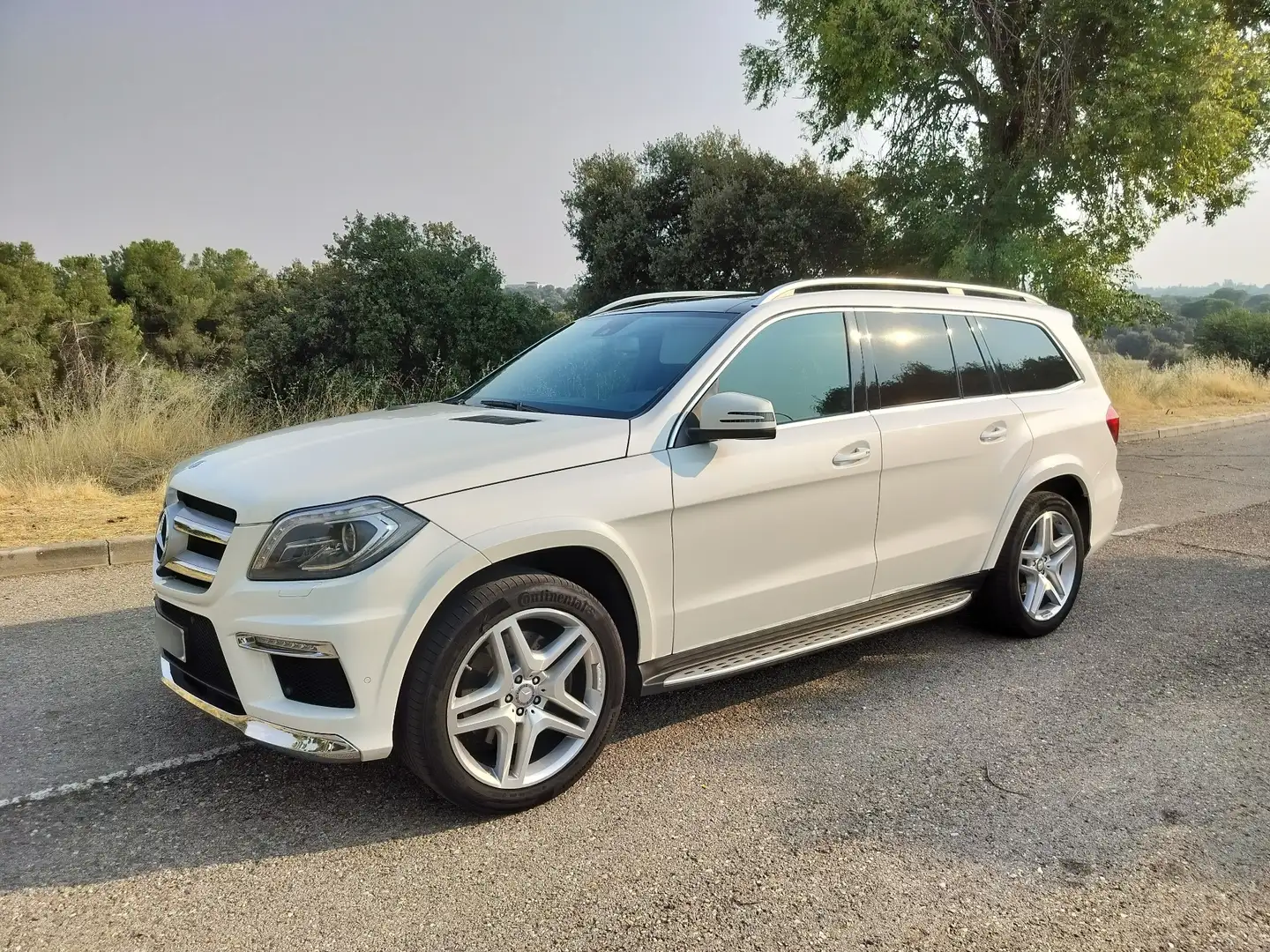 Mercedes-Benz GL 350 GL 350BlueTec 4M AMG (14.75) Aut. AMG Blanc - 1