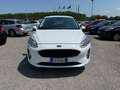 Ford Fiesta Fiesta 1.1 Benzina 5p"""Km31,000""" Bianco - thumbnail 2