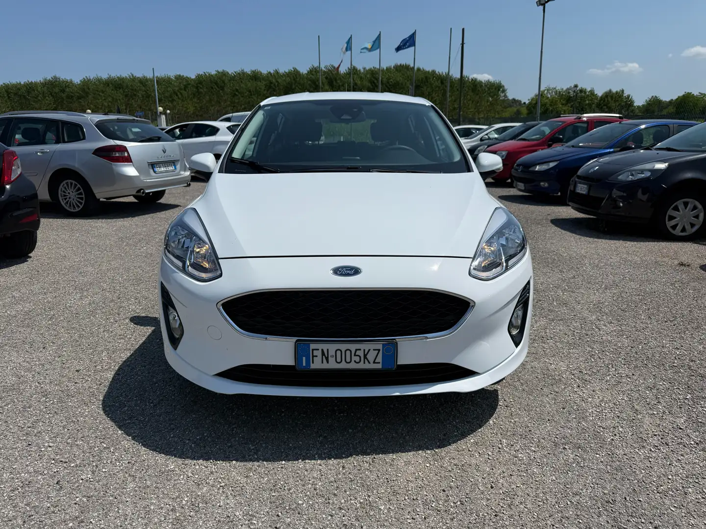 Ford Fiesta Fiesta 1.1 Benzina 5p"""Km31,000""" Bianco - 2