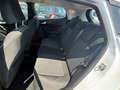 Ford Fiesta Fiesta 1.1 Benzina 5p"""Km31,000""" Bianco - thumbnail 7