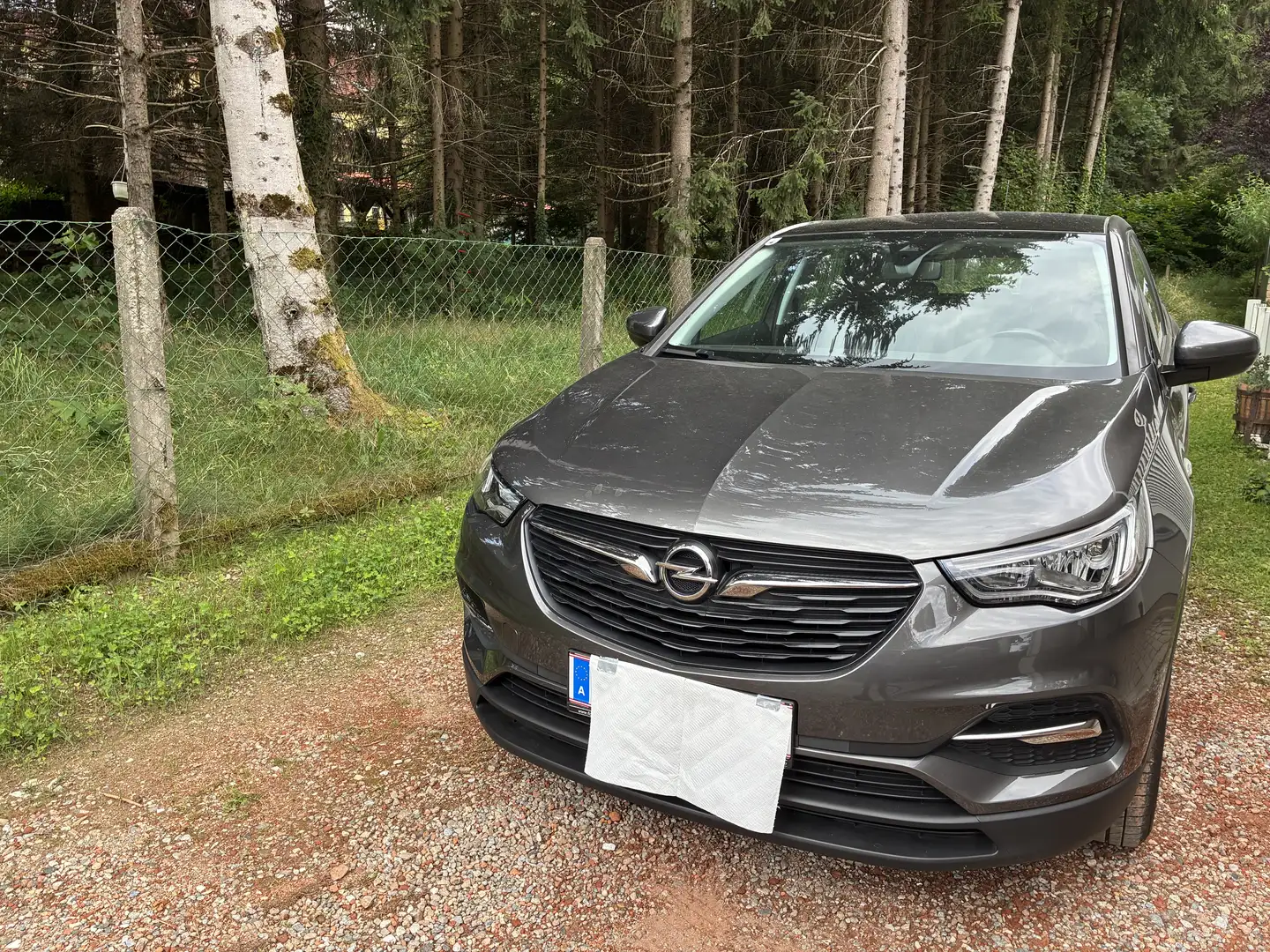 Opel Grandland X 1,2 Turbo Dir. Inj. Edition Aut. Start/Stop Grau - 1