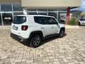 Jeep Renegade Renegade 1.6 mjt Longitude 2wd 120cv Bianco - thumbnail 4