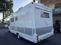 Ford Transit Camper Rimor Sailer 135 T350 Bianco - thumbnail 6