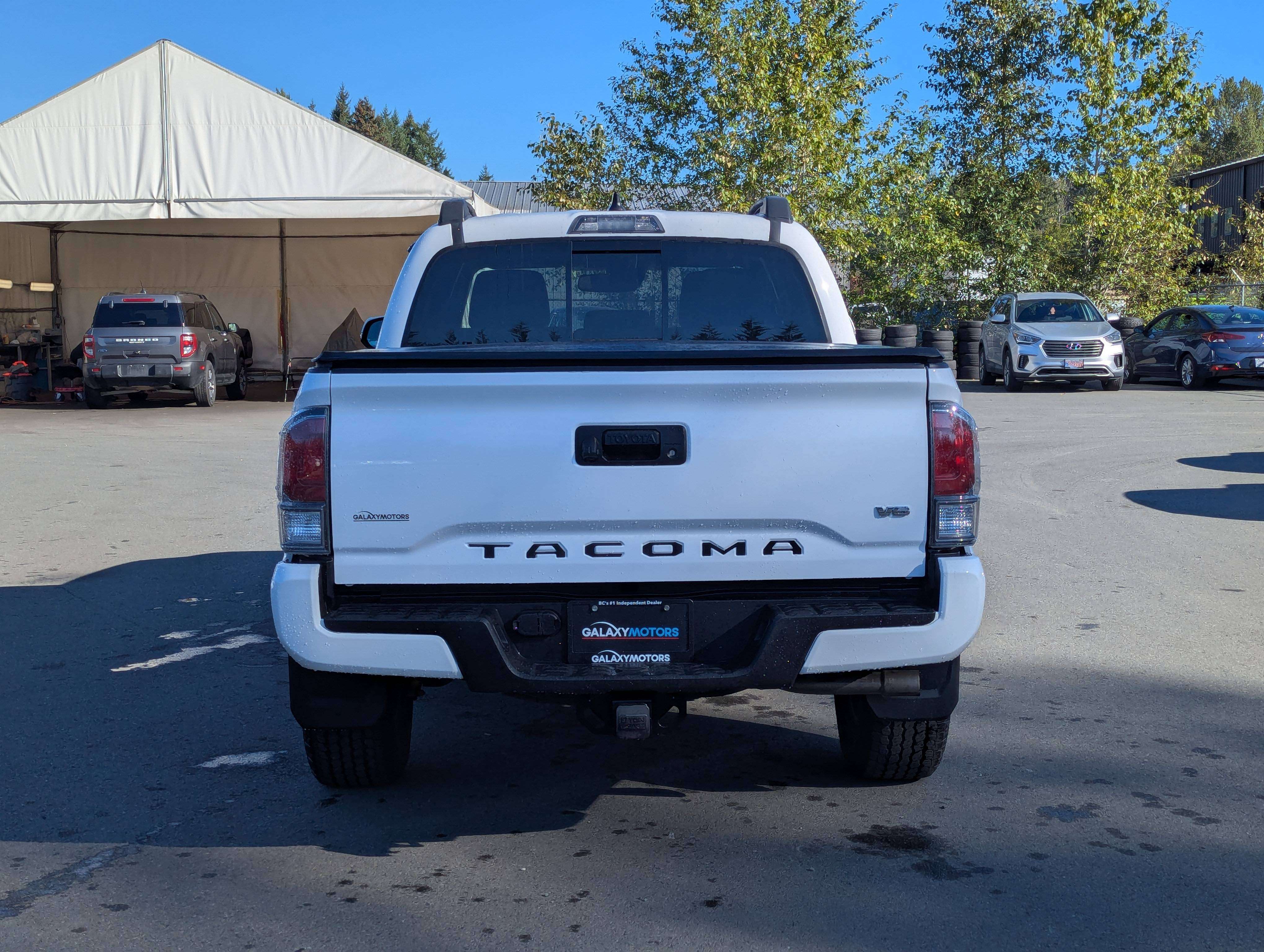 Image 6